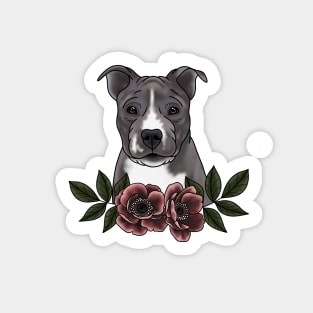 Pitbull Sticker